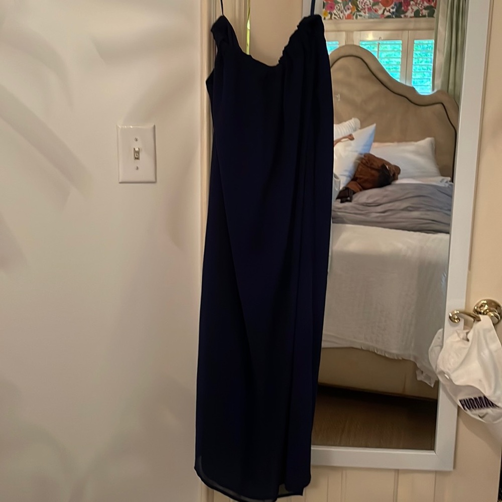Naked + zebra maxi skirt
